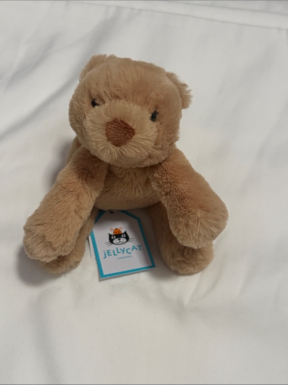 Jellycat Tiny Sumdge Bear
